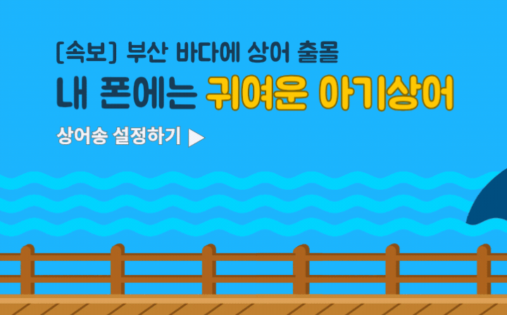 [속보] 부산 바다에 상어 출몰  내 폰에는 귀여운 아기상어  상어송 설정하기